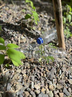 Plastik şişe atıkları çevreyi kirletiyor