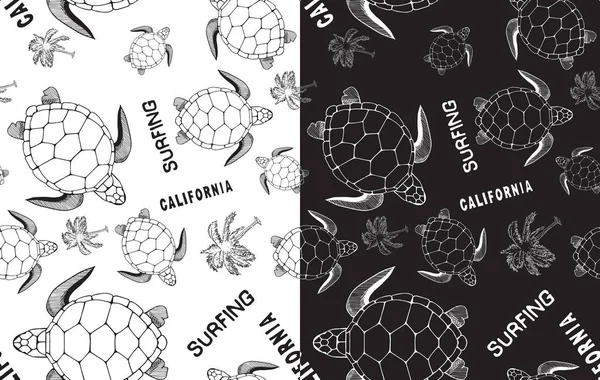 Schildkröten Illustration Weiße Und Schwarze Vektorgrafik — Stockvektor