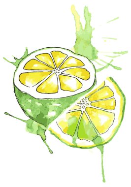 taze limon illüstrasyon grafik suluboya grafiği