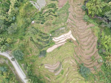 Heyelan nedeniyle toprak yüzeyinin durumu yukarıdan görülebilir.