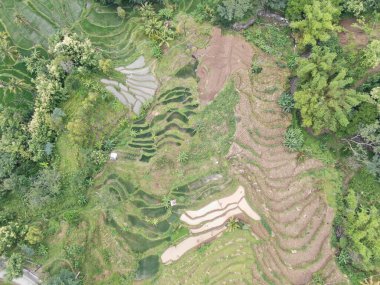 Heyelan nedeniyle toprak yüzeyinin durumu yukarıdan görülebilir.