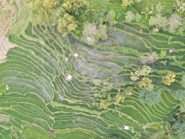 Heyelan nedeniyle toprak yüzeyinin durumu yukarıdan görülebilir.