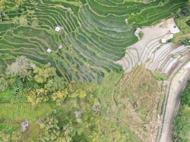 Heyelan nedeniyle toprak yüzeyinin durumu yukarıdan görülebilir.