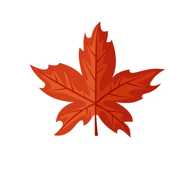 Maple leaf vector illustration. Red autumn leaf picture. — Stock Vector