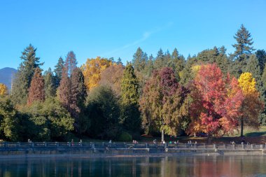 Stanley Park ve Vancouver, Kanada 'daki deniz kıyısında. Sahilleri, patikaları ve deniz manzarası olan en büyük şehir parkı. Vancouver, British Columbia 'da turistlerin ilgi odağı.