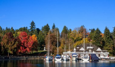 Stanley Park ve Vancouver, Kanada 'daki deniz kıyısında. Sahilleri, patikaları ve deniz manzarası olan en büyük şehir parkı. Vancouver, British Columbia 'da turistlerin ilgi odağı.