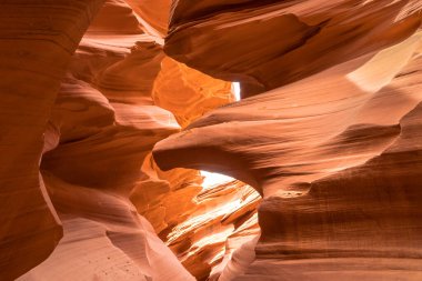 Arizona, Page 'in doğusundaki Navajo arazisindeki Antelope Kanyonu' nda kartal şekilli. Amerika 'nın güneybatısında bir yuva kanyonu. Alt antilopların dar yuvaları ve oyulmuş filizleri vardır..