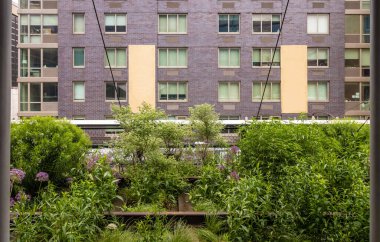 New York 'taki High Line. Manhattan 'ın batı yakasında halka açık bir parka dönüştürülmüş yüksek bir demiryolu.