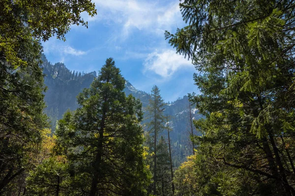 Bridalveil Fall Trail Parque Nacional Yosemite California — Foto de Stock