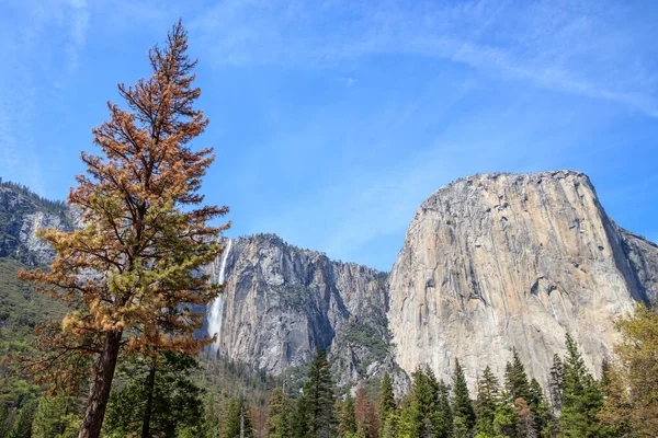 Vista Desde Bridalveil Fall Picnic Puente Oscilante Parque Nacional Yosemite — Foto de Stock