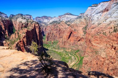 Angels Landing, Birleşik Devletler 'in Utah eyaletinin güneybatısındaki Zion Ulusal Parkı' nda bulunan bir kaya oluşumudur. Gelişmiş yürüyüşçüler için dik ve dar bir patikadır. Meleklerin İniş Yolu Görünümü