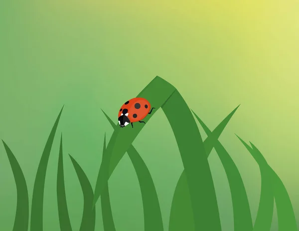 Çim bıçak degrade kafes arka plan ile uğur böceği.