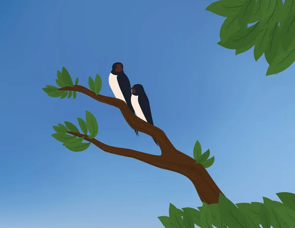 Bir dal yeşil yaprakları ve arka plan mavi gökyüzünde oturan iki ahır yutar.