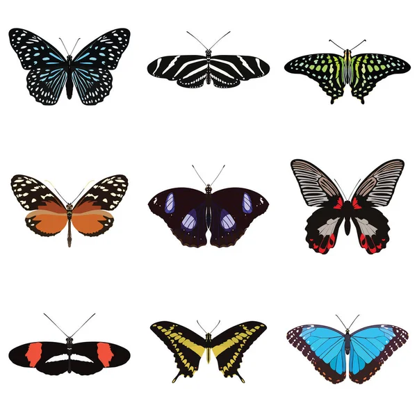 Satz Von Neun Schmetterlingen Stockillustration