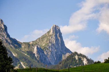Gümüş bir tekir İngiliz Shorthair kedisine yakın çekim sarı gözlü ve ciddi bir ifadeyle.