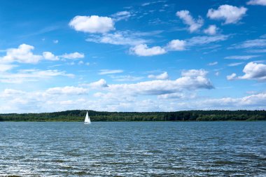 Sahile, arkasındaki gölde yelken yat, ormanla kaplı. Güneşli bir gün, mavi gökyüzü bulutlar, mavi su dalgalanmalar, beyaz yelken, yaz manzara ile.