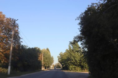 Küçük bir kasabada ağaçların arasında yol açık mavi bir gökyüzünün altında huzurlu bir banliyö manzarası ve uzakta bir araba.