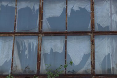 Paslı metal çerçeveleri ve kırık camları olan eski bina çürüme, zaman ve kentsel kontrastın sembolü.