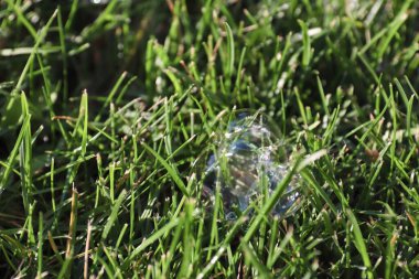 Yaz projeleri, şenlikli fikirler ve yaratıcı tasarım için arka planda yeşil çimlerde parlayan sabun köpükleri.