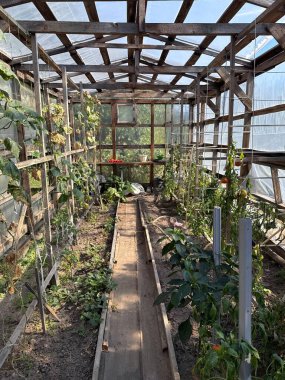 Ahşap çerçeveli sera, sebze yatakları ve tarım projeleri için günışığı modern organik tarım, ekolojik reklamcılık, eğitim malzemeleri, ambalaj ve arka plan içeriği