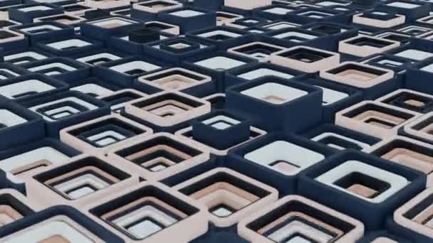 Место Удовлетворение Абстрактной Анимации Геометрические Кубики Движения Безмордонное Видео Формы — стоковое видео