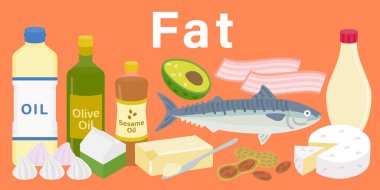 Çeşitli lipidlerin çizimleri (üç temel besin ve beş temel besin maddesi)