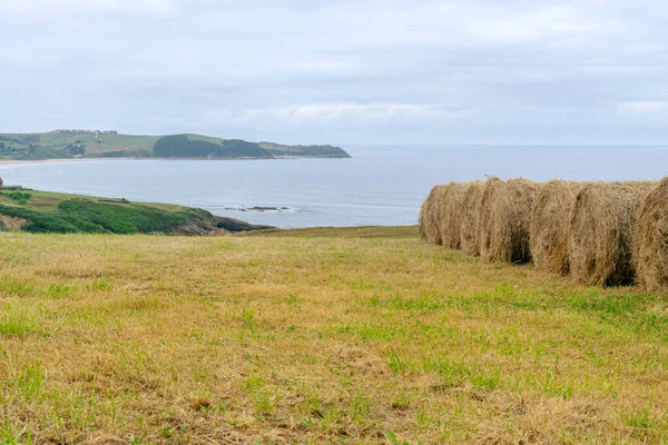 Önünde saman yığınları olan deniz kıyısı manzarası