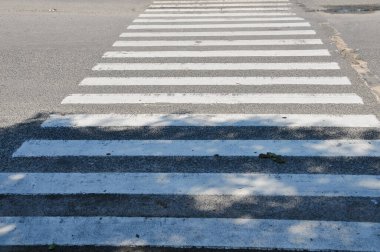 Beyaz ve gri bir zebranın dokulu asfalt bir yoldan geçerken çekilmiş detaylı, yüksek açılı bir görüntüsü. Güçlü çizgiler ve zıt renkler modern, soyut bir görsel model oluşturur..