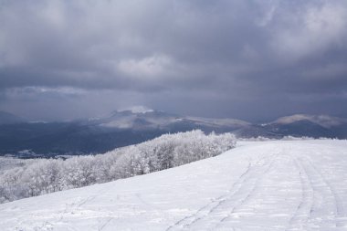 Ustrzyki Gorne, Polonya - 24 Şubat 2018: Kışın dağ iz Tarnica için. Kışın Bieszczady Milli Parkı. Bieszczady kışın. Karla kaplı ağaçlar ve dağlar.