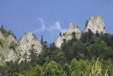 Dağlar üç kron (Trzy Korony) Lehçe Pieniny olduğunu. Milli parkta Pieniny. Dağlar ve manzara Dunajec yukarıda.