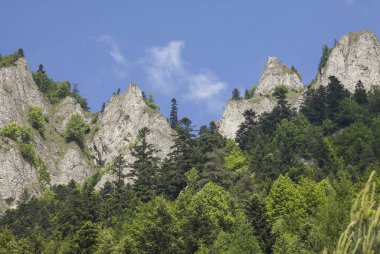 Dağlar üç kron (Trzy Korony) Lehçe Pieniny olduğunu. Milli parkta Pieniny. Dağlar ve manzara Dunajec yukarıda.