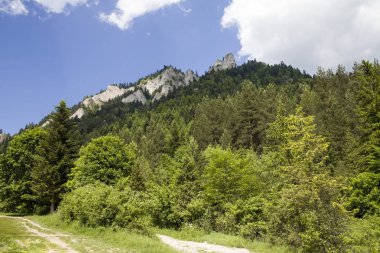 Dağlar üç kron (Trzy Korony) Lehçe Pieniny olduğunu. Milli parkta Pieniny. Dağlar ve manzara Dunajec yukarıda.