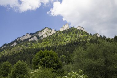 Dağlar üç kron (Trzy Korony) Lehçe Pieniny olduğunu. Milli parkta Pieniny. Dağlar ve manzara Dunajec yukarıda.