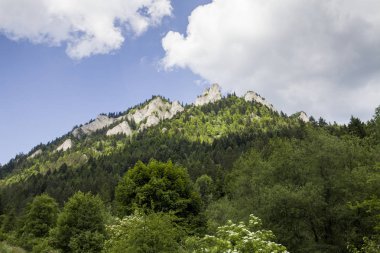 Dağlar üç kron (Trzy Korony) Lehçe Pieniny olduğunu. Milli parkta Pieniny. Dağlar ve manzara Dunajec yukarıda.