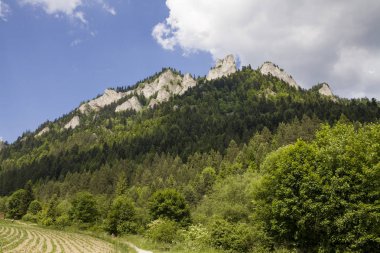 Dağlar üç kron (Trzy Korony) Lehçe Pieniny olduğunu. Milli parkta Pieniny. Dağlar ve manzara Dunajec yukarıda.