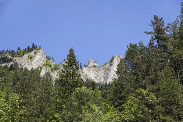 Dağlar üç kron (Trzy Korony) Lehçe Pieniny olduğunu. Milli parkta Pieniny. Dağlar ve manzara Dunajec yukarıda.