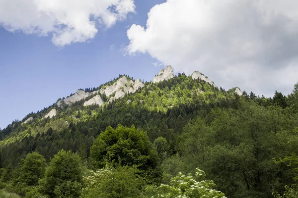 Dağlar üç kron (Trzy Korony) Lehçe Pieniny olduğunu. Milli parkta Pieniny. Dağlar ve manzara Dunajec yukarıda.