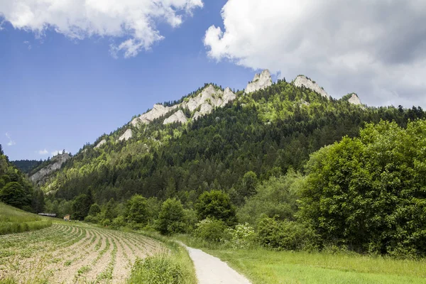 Dağlar üç kron (Trzy Korony) Lehçe Pieniny olduğunu. Milli parkta Pieniny. Dağlar ve manzara Dunajec yukarıda.