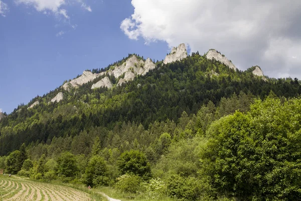 Dağlar üç kron (Trzy Korony) Lehçe Pieniny olduğunu. Milli parkta Pieniny. Dağlar ve manzara Dunajec yukarıda.