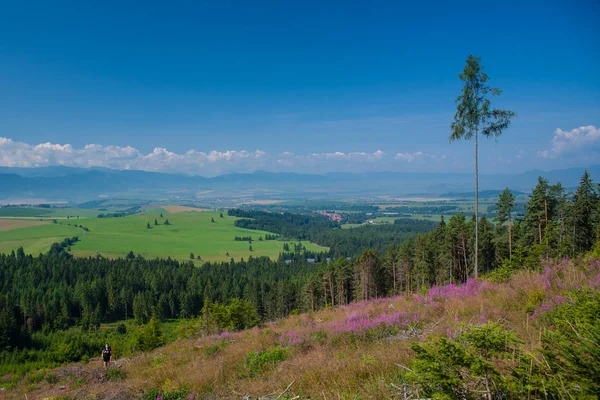 Landscape of western tartra. Trail to Baraniec mountain peak in Slovakia in the Western Tatras. Beautiful mountain peaks under a blue sky.