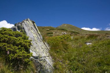 Batı tartra manzara. Baraniec dağ tepe Batı Tatras, Slovakya için trail. Güzel dağ zirveleri mavi gökyüzü altında.