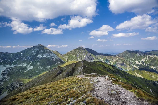 Skogsstig Till Baraniec Högsta Topparna Västra Tatrabergen Slovakien Slovakiska Tatra — Stockfoto