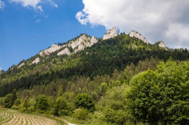 Dağlar üç kron (Trzy Korony) Lehçe Pieniny olduğunu. Milli parkta Pieniny. Dağlar ve manzara Dunajec yukarıda.