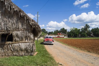 Havana / Küba - 27 Kasım 2017: puro fabrikası Küba. Kulübe palmiye yaprakları yapılmış. El ile üretim Küba purosu. Vinales Tütün ekimi.