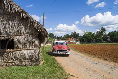 Havana / Küba - 27 Kasım 2017: puro fabrikası Küba. Kulübe palmiye yaprakları yapılmış. El ile üretim Küba purosu. Vinales Tütün ekimi.