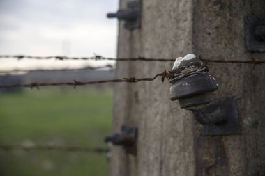 Auschwitz, Oswiecim / Polonya - 27 Ekim 2018: dikenli tel bir konsantrasyon kampında. Çit elektrik akımı altında. Oswiecim Holokost Müzesi.