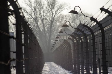 Auschwitz-Birkenau, Polonya/10 Şubat 2019 ; Auschwitz Müzesi - Holokost Anıt Müzesi. Yıldönümü Toplama Kampı Kurtuluş. Arka planda shed bekçi.