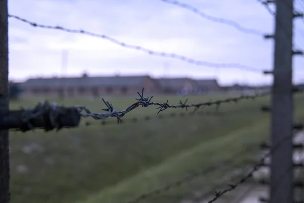 Oswiecim Άουσβιτς Μπίρκεναου Πολωνία Φεβρουάριος 2019 Συρματοπλέγματα Στρατόπεδο Συγκέντρωσης Άουσβιτς — Φωτογραφία Αρχείου