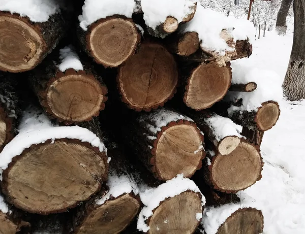 ウッドパイル冬に雪の中であります。雪の層の下の天然木. — ストック写真