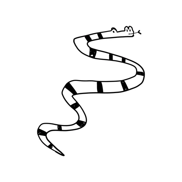 Cartel informativo boceto dibujado a mano serpiente animal . — Vector de stock
